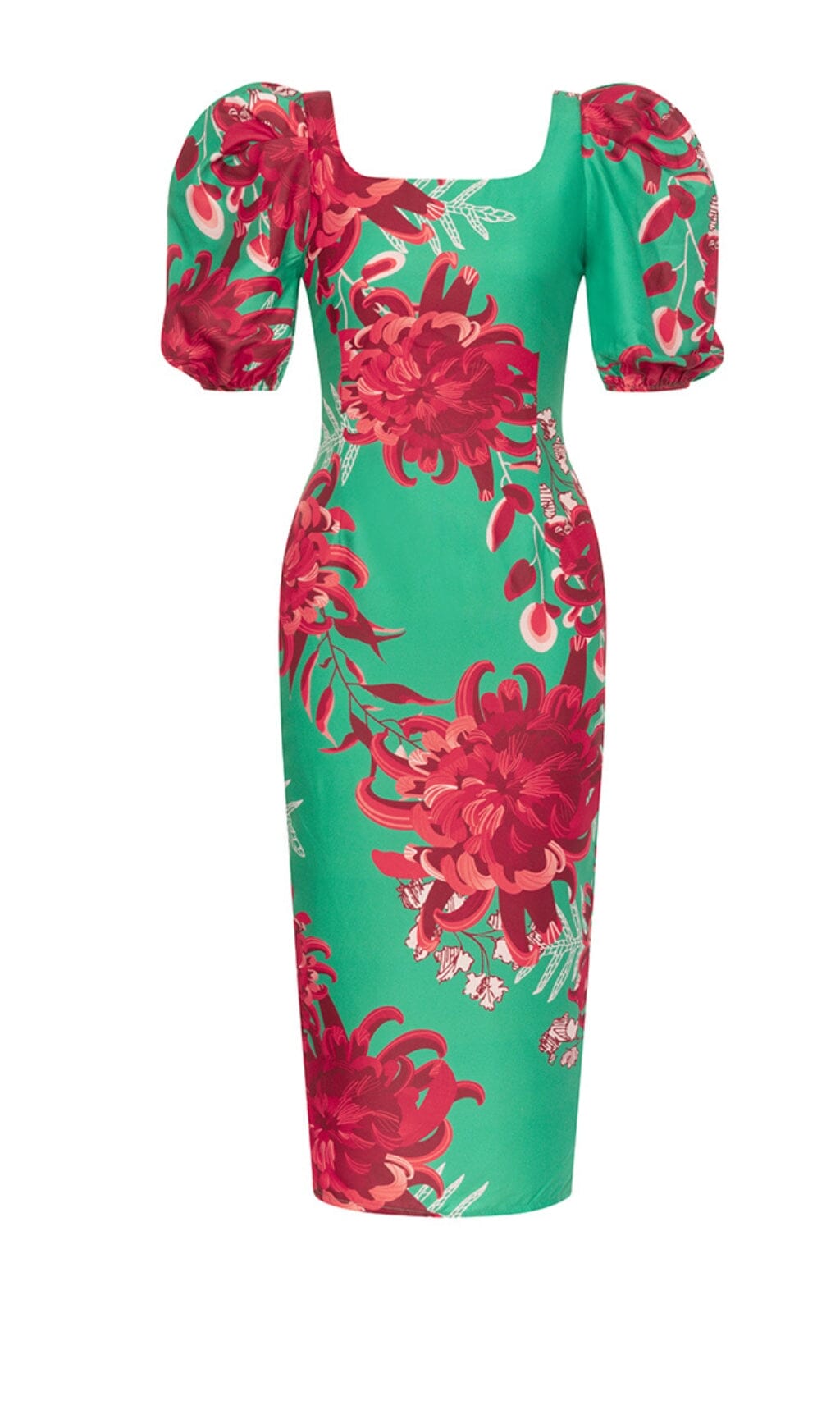 FLORAL PRINT PUFF SLEEVED OPEN BACK MIDI DRESS IN GREEN DRESS STYLE OF CB