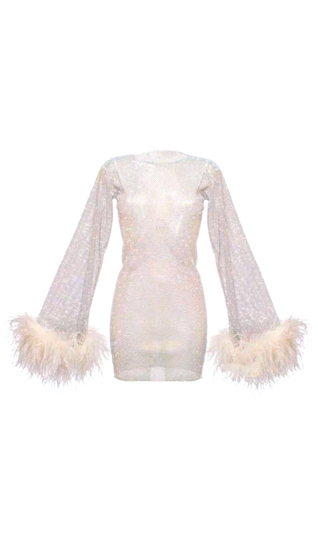 FEATHER MESH MINI DRESS IN WHITE Dresses styleofcb 